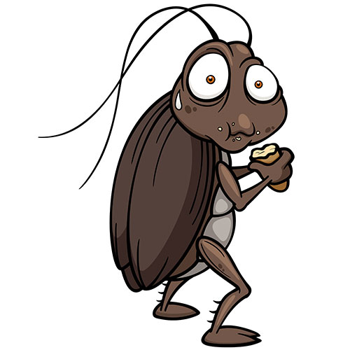 Cockroaches